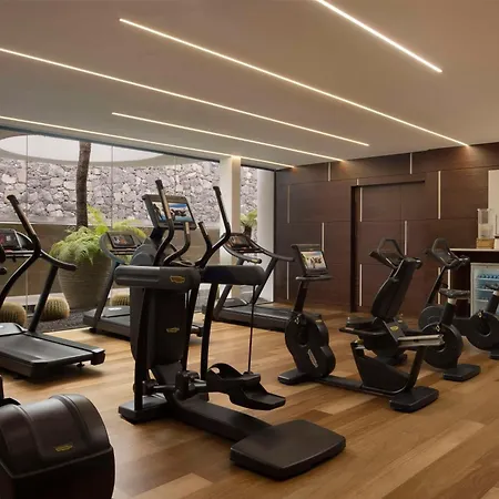 Royal Hideaway Corales (adults Only) Адехе