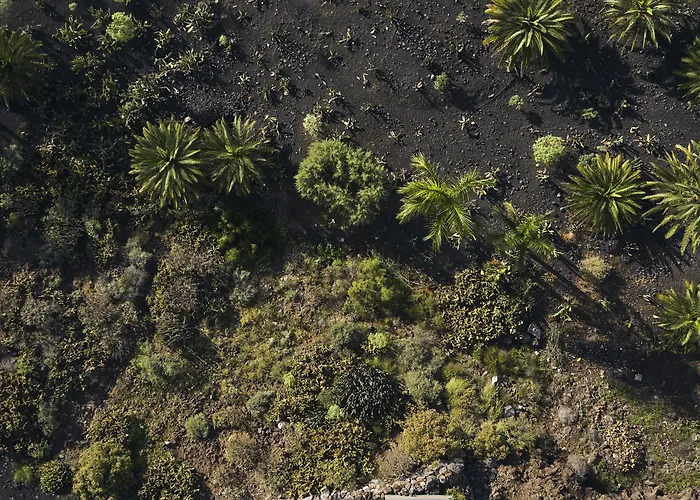 Royal Hideaway Corales 5* Costa Adeje (Tenerife)